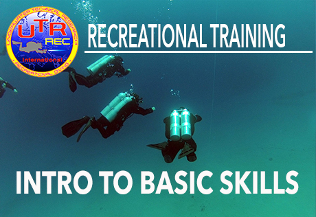 Intro to Basic Skills Diver